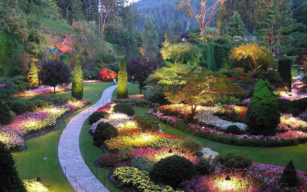 Фото albionmanor.com