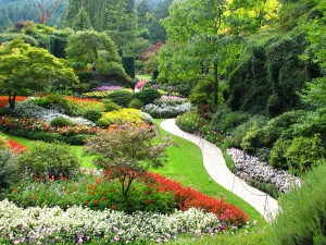 Фото thestar.com