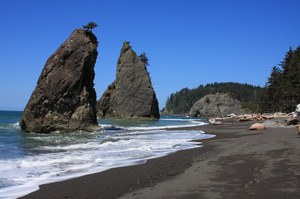 Фото wta.org