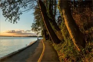 2013 © Christopher Martin