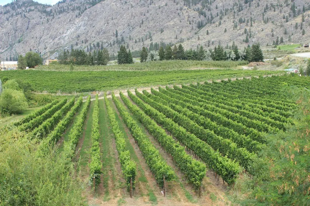 alice_and_shmont / Instagram / Osoyoos