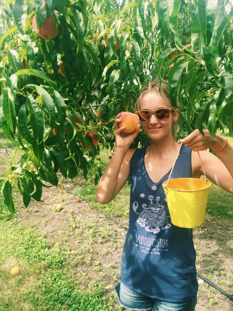 alice_and_shmont / Instagram / Osoyoos, U pick