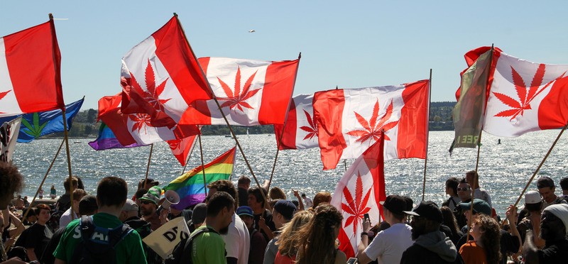 фестиваль марихуаны в канаде