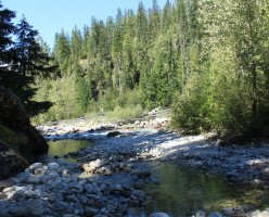 Горячие источники реки Халфуэй (Halfway River Hot Springs)