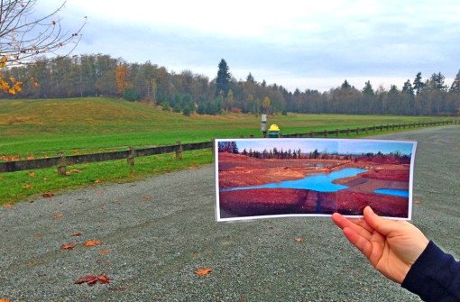 Региональный парк Олдергроув (Aldergrove Regional Park)