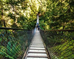Парк каньона Линн (Lynn Canyon Park)