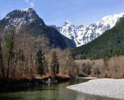 В заповеднике Golden Ears было обнаружено тело