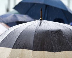Чем заняться в Ванкувере: 15 лучших занятий, про которые можно вспомнить в дождливый день