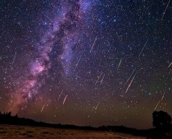 5 занятий в Ванкувере на понедельник, 8 августа