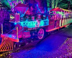 Миниатюрный поезд в Stanley Park