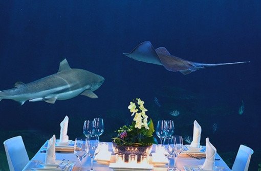 5 необычных кулинарных событий в Ванкувере