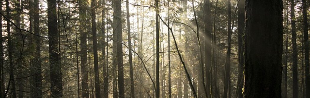Канадцы разочарованы новой системой дневных пропусков BC Parks