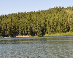 Тропа к озеру Лост лэйк (Lost Lake Nature Trail)