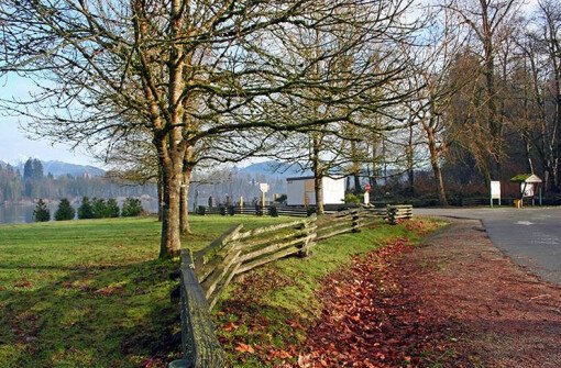 Региональный парк Дерби Рич (Derby Reach Regional Park)