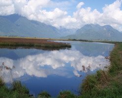 Кольцевой маршрут по заповеднику Пит (Pitt Wildlife Loop)