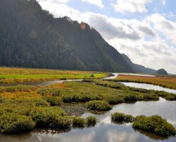Региональный парк Миннекада (Minnekhada Regional Park)