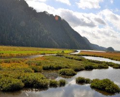 Региональный парк Миннекада (Minnekhada Regional Park)