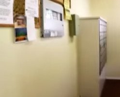 КАНАДСКАЯ МЕЧТА. ЖИЛЬЁ СРЕДНЕГО КАНАДЦА. ИЗБУШКА В ЛЕСУ ?