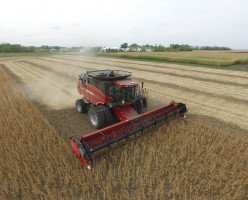 Иммиграционная программа для фермеров в Манитобу (Manitoba Farm Investor Pathway)
