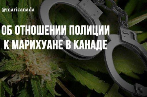 Об отношении полиции к марихуане в Канаде