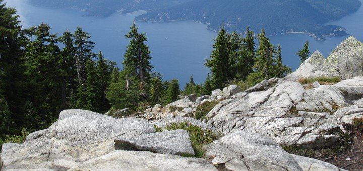 /place/buhta-lions-720x340.jpg