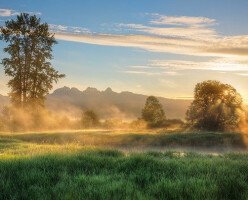 Канада упростила требования к участию в Rural and Northern Immigration Pilot