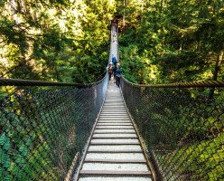 Висячий мост каньона Линн (The Lynn Canyon Suspension Bridge)