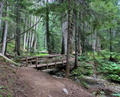 Тропа к древним кедрам (Ancient Cedars Trail)