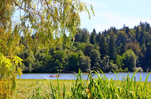 Озеро Дир (Deer Lake)