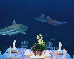 5 необычных кулинарных событий в Ванкувере
