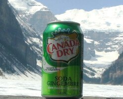 Мужчина из Канады отсудил у Canada Dry $200 тыс из-за "пользы" имбирного эля
