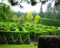 Ботанический сад Ван Дусена (VanDusen Botanical Garden)