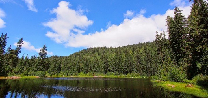 /place/ozero_goldi-720x340.jpg