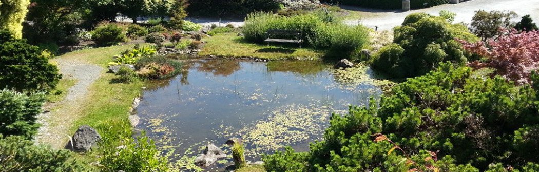 Ботанический сад в университете Британской Колумбии (UBC Botanical Garden)