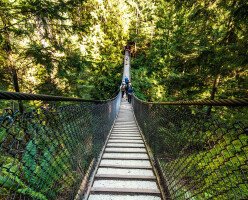 Парк каньона Линн (Lynn Canyon Park)