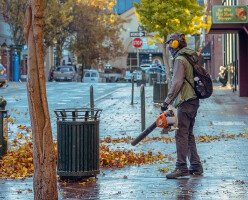 Мужчине из Ванкувера угрожали из-за петиции о запрете бензиновых воздуходувок