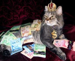 5 способов экономить в Канаде на каждодневной основе