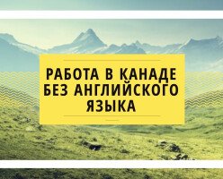 Как найти работу в Канаде без знаний английского языка?