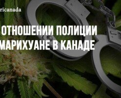Об отношении полиции к марихуане в Канаде