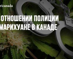 Об отношении полиции к марихуане в Канаде