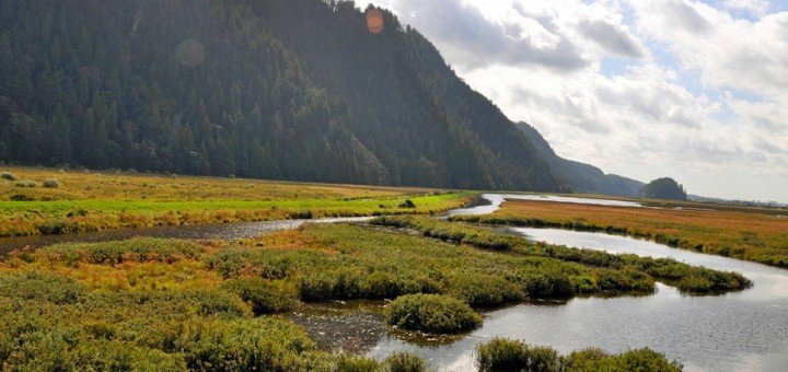 /place/minnekada-regionalniy-park-720x340.jpg