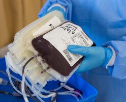 Канадская служба крови зовет новых доноров в преддверии праздников