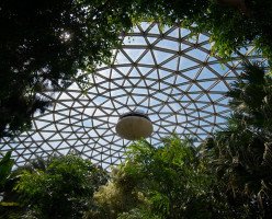 Цветочная Консерватория Бледел Флорал (Bloedel Conservatory)
