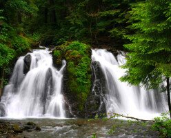 Пеший маршрут к водопаду Голд Крик (Gold Creek Falls)