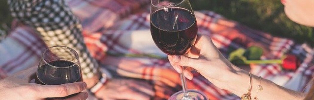 Во многих парках Ванкувера скоро могут разрешить распивать спиртные напитки