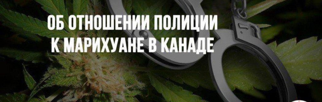 Об отношении полиции к марихуане в Канаде