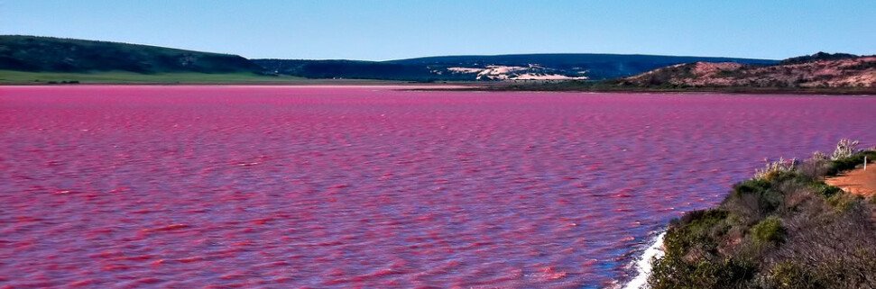 розовое озеро в Британской Колумбии