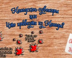 Что привезти в подарок из Канады или канадские сувениры