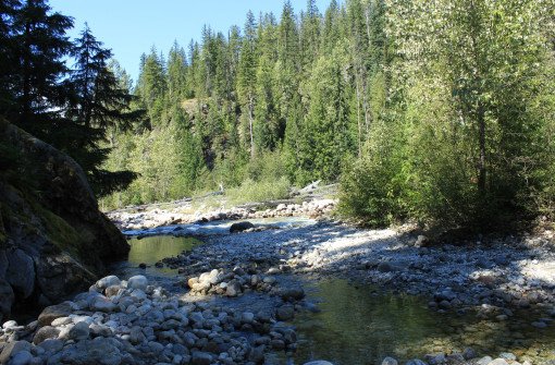 Горячие источники реки Халфуэй (Halfway River Hot Springs)