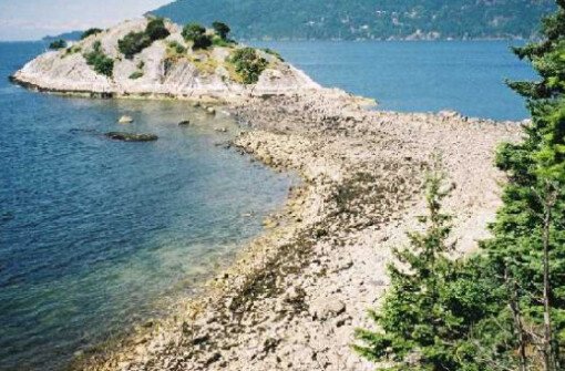 Парк Уайтклифф (Whytecliff Park)